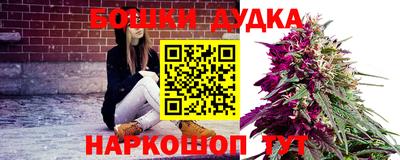 гидропоника Камышлов
