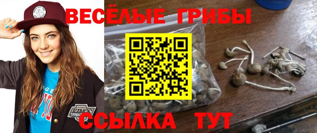 Галлюциногенные грибы MAGIC MUSHROOMS  Псилоцибиновые грибы Psilocybine cubensis  Ростов Великий  Вход с VPN 